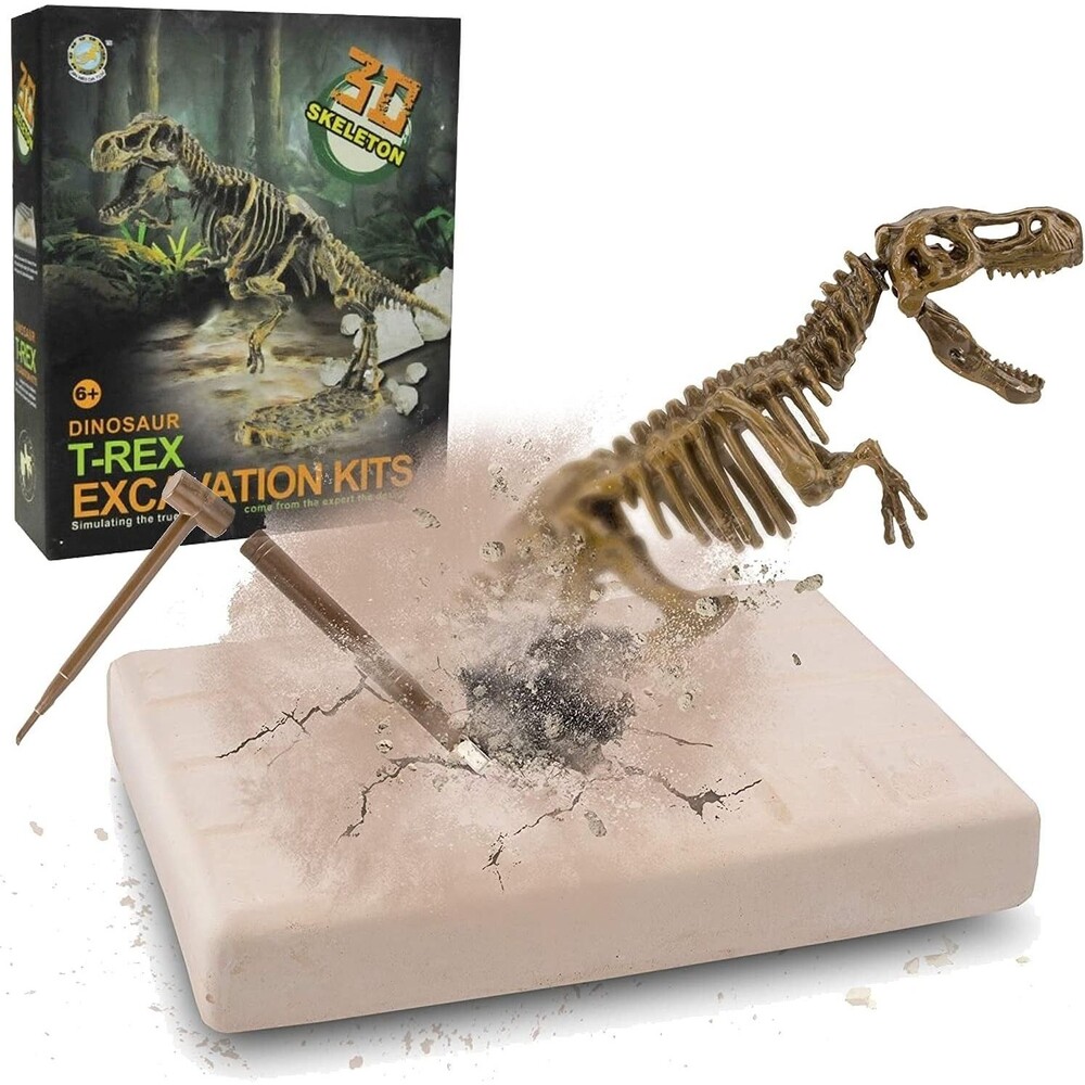 T Rex Dinosaur Skeleton 3D Fossil Bones Excavation Kit - New
